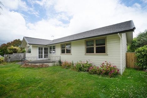 Photo of property in 4 Heatley Avenue, Hokowhitu, Palmerston North, 4410