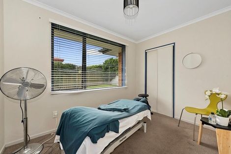 Photo of property in 48 Haultain Street, Fairfield, Hamilton, 3214