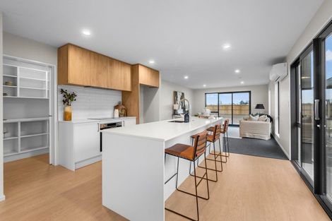 Photo of property in 59 Nixon Street, Tinwald, Ashburton, 7700