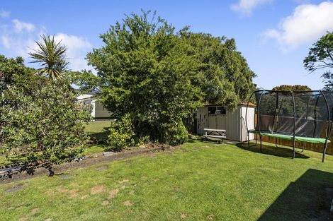 Photo of property in 8 Surrey Street, Stratford, 4332