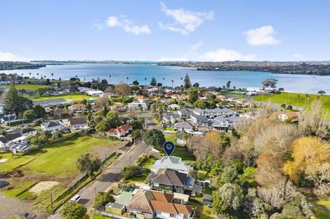 Photo of property in 22 Larsen Road, Panmure, Auckland, 1072