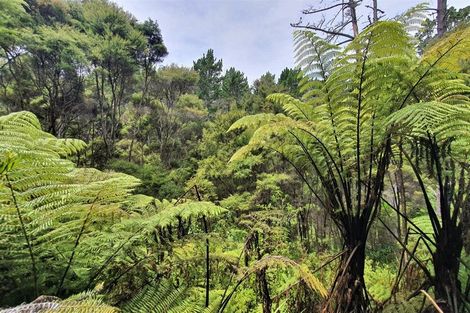 Photo of property in 46 Schoolhouse Bay Road, Kawau Island, 0920