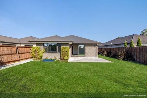 Photo of property in 45 Minerva Crescent, Woodend, 7610