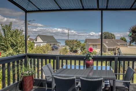 Photo of property in 103 Ash Street, Thames, 3500