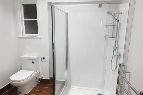 Photo of property in 119 Glenmore Street, Kelburn, Wellington, 6012