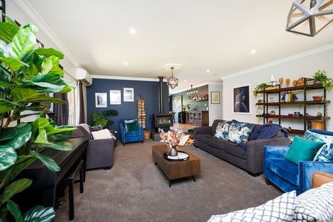 Photo of property in 29 Caroline Drive, Feilding, 4702