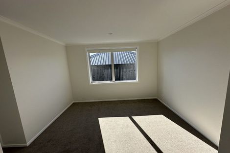 Photo of property in 131 Dunlop Road, Te Puke, 3183