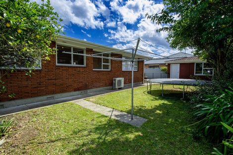 Photo of property in 49 Fitzroy Street, Terrace End, Palmerston North, 4410