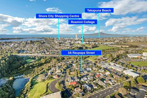 Photo of property in 3a Raupapa Street, Northcote, Auckland, 0627