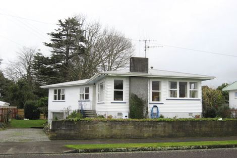 Photo of property in 17 Green Avenue, Levin, 5510