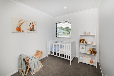 Photo of property in 14 Harford Street, Feilding, 4702