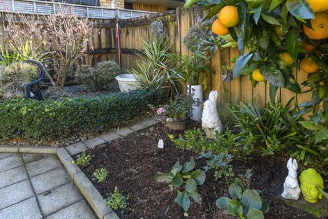 Photo of property in 3b Kotuku Place, Matua, Tauranga, 3110