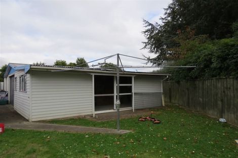 Photo of property in 91 Strathmore Avenue, Levin, 5510