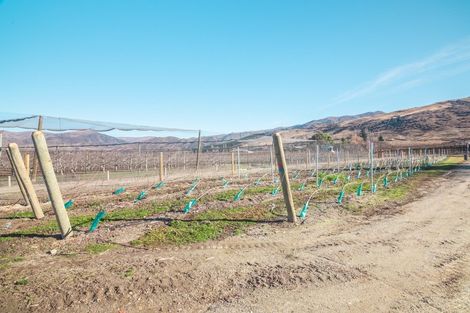 Photo of property in 319 Ripponvale Road, Cromwell, 9384