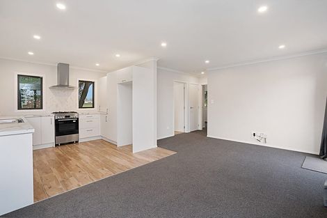 Photo of property in 46 Bruce Avenue, Glenview, Hamilton, 3206