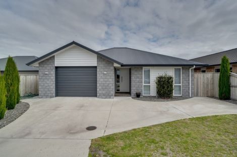 Photo of property in 19 Ponga Place, Papamoa Beach, Papamoa, 3118