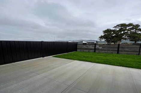 Photo of property in 17 Castletown Street, Wallaceville, Upper Hutt, 5018