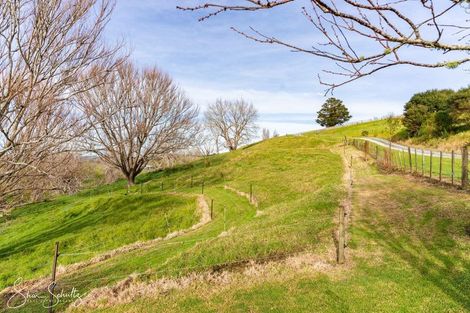 Photo of property in 16 Nikau Lane, Maungaturoto, 0520