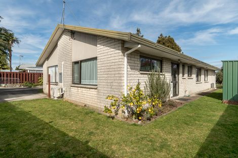 Photo of property in 19 Collingwood Street, Judea, Tauranga, 3110