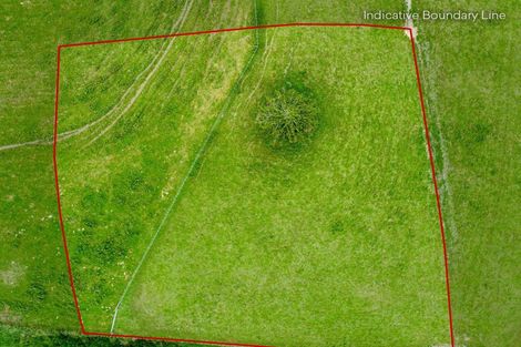 Photo of property in 230 Waimanu Road, Pukeatua, 3880