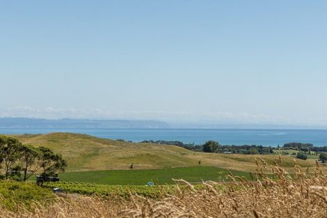 Photo of property in 86 Millar Road, Haumoana, Hastings, 4180