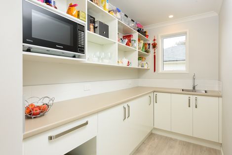 Photo of property in 4 Omapere Lane, Pyes Pa, Tauranga, 3112