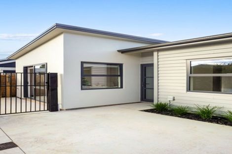 Photo of property in 123a Endeavour Avenue, Flagstaff, Hamilton, 3210