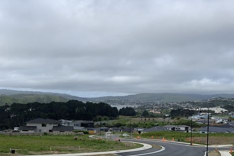 Photo of property in 66 Queen Charlotte Drive, Aotea, Porirua, 5024