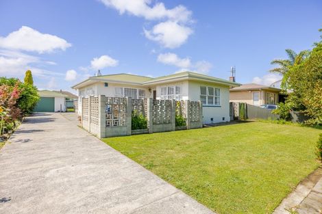 Photo of property in 819 Ngaio Street, Mahora, Hastings, 4120