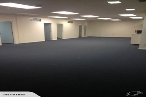 Photo of property in 8b Lipman Street, Mount Victoria, Wellington, 6011