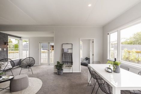 Photo of property in 99 Fitzroy Street, Terrace End, Palmerston North, 4410