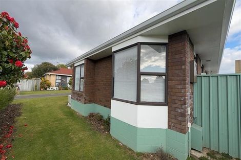 Photo of property in 17 Douglas Street, Levin, 5510