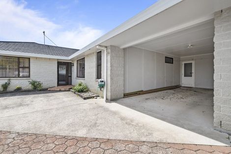 Photo of property in 100 Monrad Street, Highbury, Palmerston North, 4412