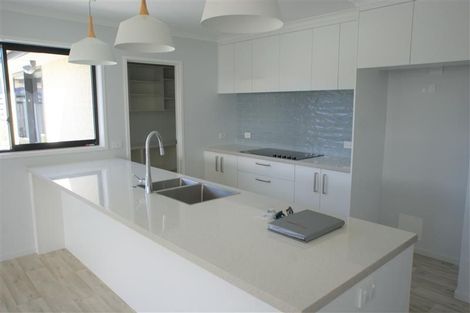 Photo of property in 239 Taylor Pass Road, Witherlea, Blenheim, 7201