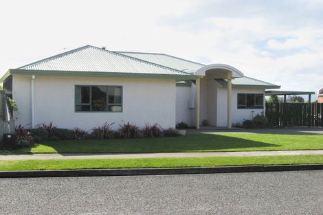 Photo of property in 26 Solway Drive, Witherlea, Blenheim, 7201