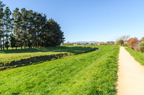 Photo of property in 34 Washington Parade, Milson, Palmerston North, 4414