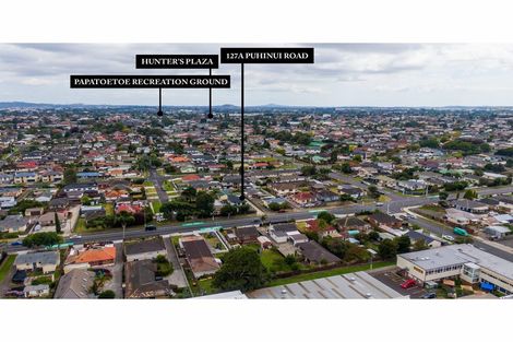 Photo of property in 127a Puhinui Road, Papatoetoe, Auckland, 2104