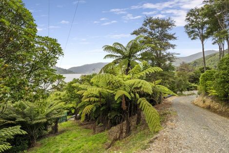Photo of property in 279 Queen Charlotte Drive, Havelock, Picton, 7281