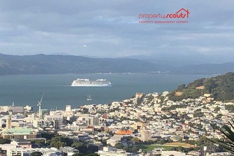 Photo of property in 43 Connaught Terrace, Brooklyn, Wellington, 6021