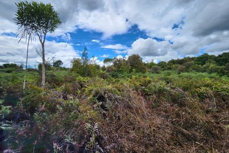 Photo of property in 240 Maori Creek Road, Marsden, Greymouth, 7872