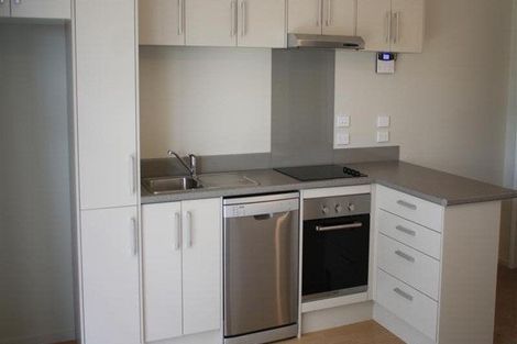 Photo of property in 54d Campbell Street, Frankton, Hamilton, 3204