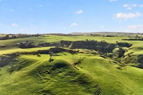 Photo of property in 55 Coster Road, Muriwai, 0881