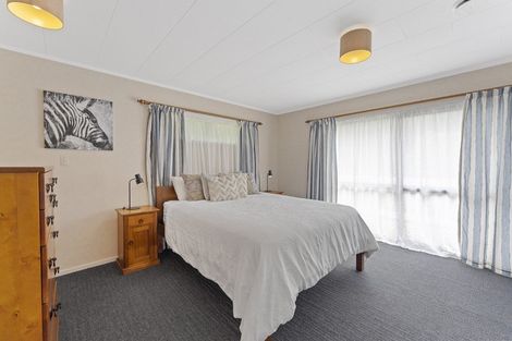 Photo of property in 13 Oswald Place, Stratford, 4332