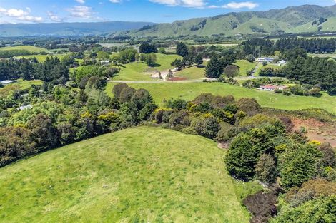 Photo of property in 84 Te Hapua Road, Te Horo, Otaki, 5581