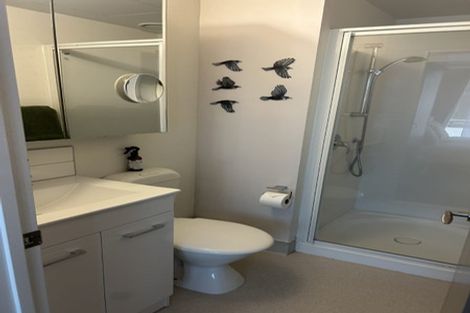 Photo of property in Dual Apartments, 108/142 Vivian Street, Te Aro, Wellington, 6011