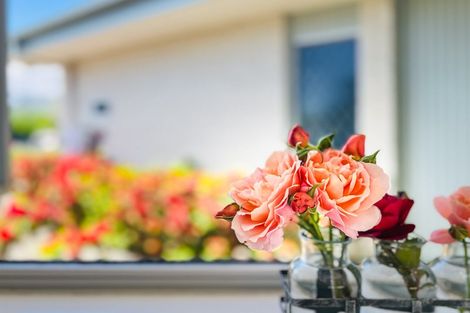 Photo of property in 20 Freyberg Crescent, Waikanae Beach, Waikanae, 5036