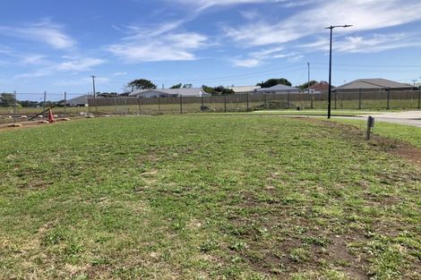 Photo of property in 218 Carrington Street, Vogeltown, 4310