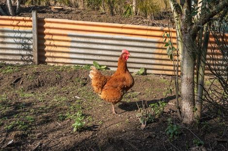 Photo of property in 1b Goodwin Street, Waihola, Milton, 9073