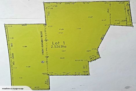 Photo of property in 16 Douglas Street, Winton, 9720