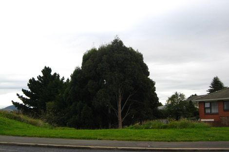 Photo of property in 158 Riselaw Road, Calton Hill, Dunedin, 9012